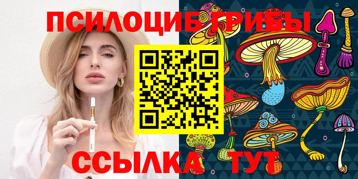 хочу наркоту  Псилоцибиновые грибы прущие грибы  Вход с VPN  Псилоцибиновые грибы ЛСД  Котовск 