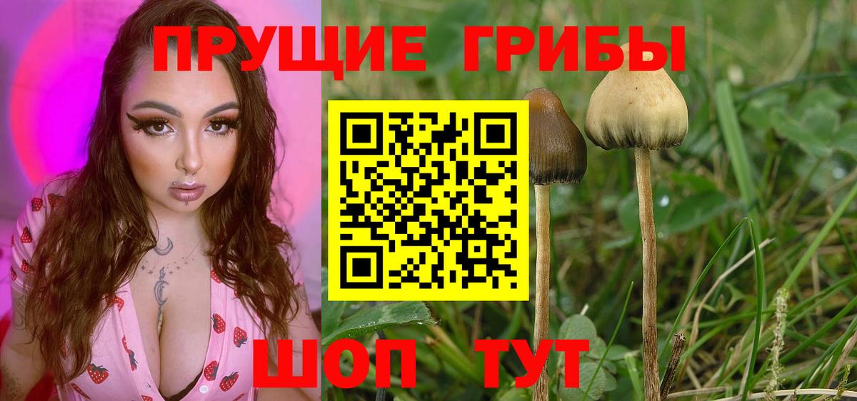 Галлюциногенные грибы прущие грибы Котовск